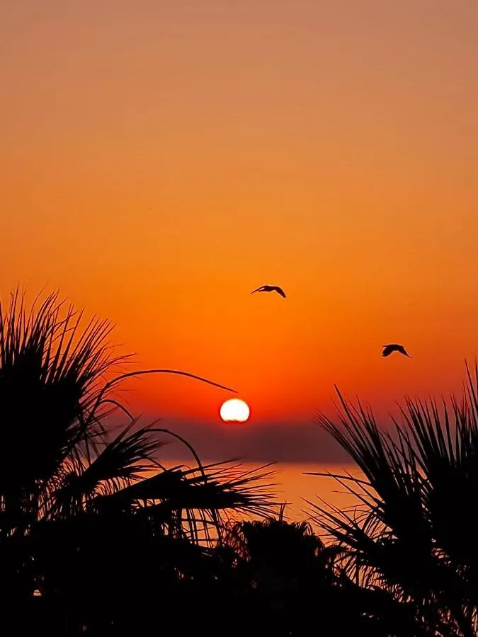 Alex Beach Apartment 32 Larnaca